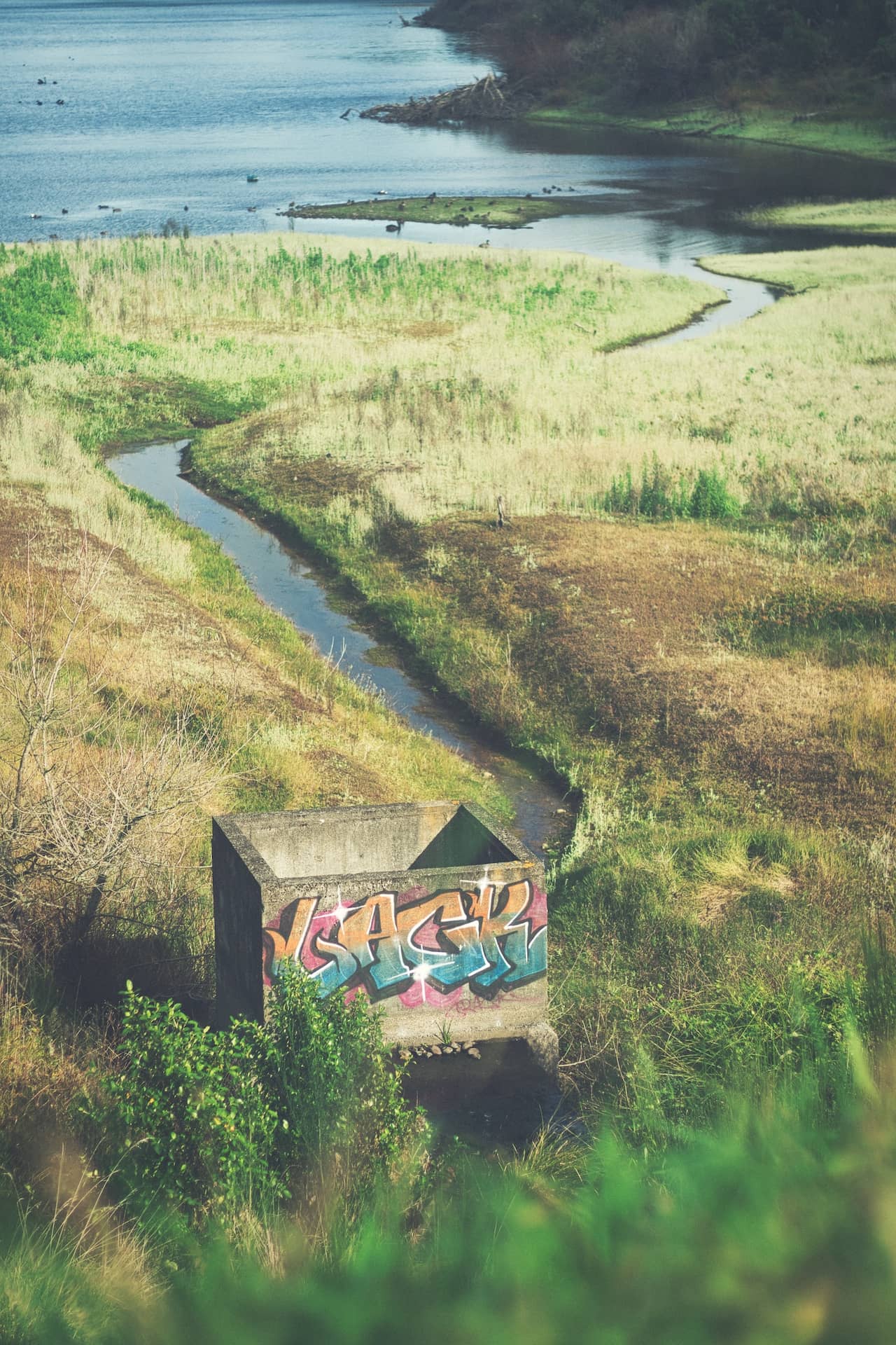 Photo of a bright piece of graffiti on a concrete structure in the foreground, with a small stream leading to a lake in the background; taken from higher ground.